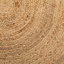 Alvertia Geometric Shapes Jute / Sisal Braided Area Rug-1570025