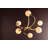 Signature 6 Light Chandelier