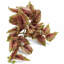 30cm Faux Plant-127681020