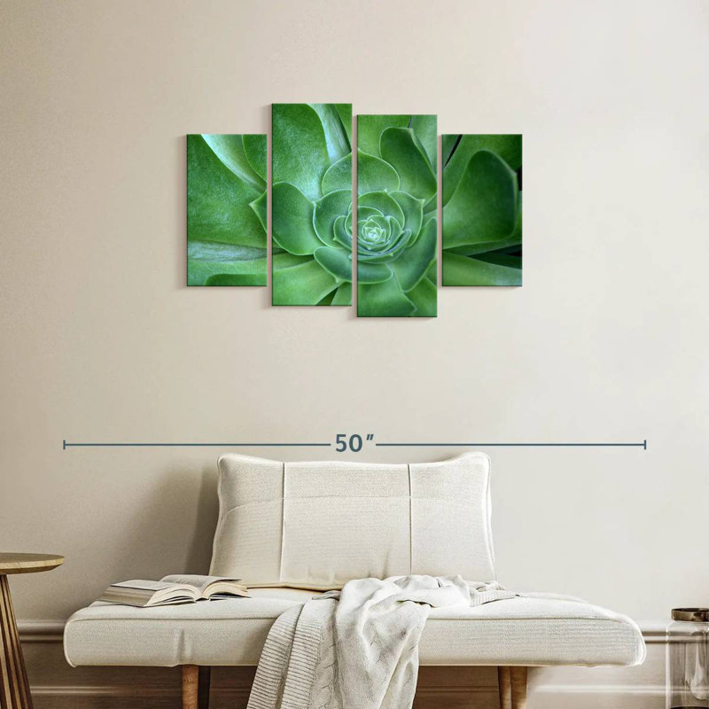 Succulant simple Harnek, H 22 po x l 36 po
