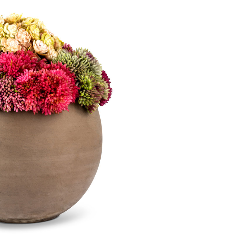 Functional Beauty Sedum Arrangement, Red/Beige/Green