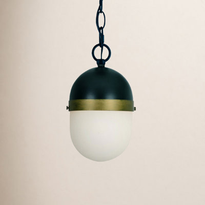 Capsule Outdoor Pendant Light