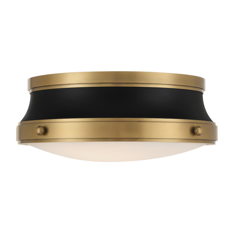 Purelight 15" 2-Light Flush Mount, Brass/Black