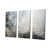 Toile tendue