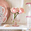 Provence 5.5" Hurricane-1309449827