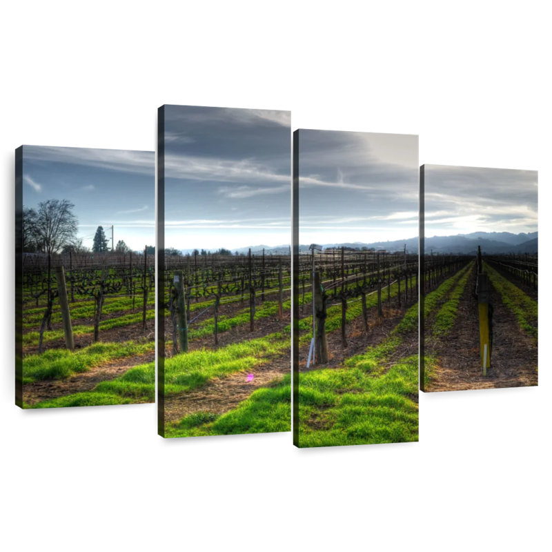 Alvord Napa Vineyard en janvier, H 22 po x l 36 po