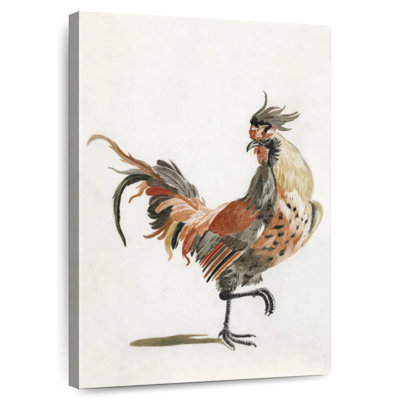 A Cock