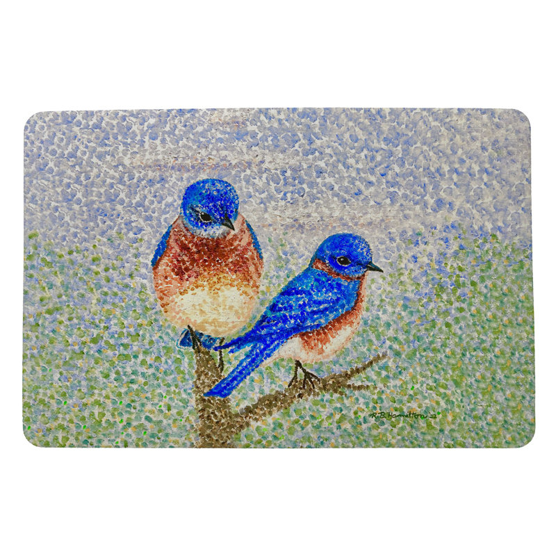 Tapis d'entrée intérieur antidérapant pour deux oiseaux 26 po x 18 po Two Birds