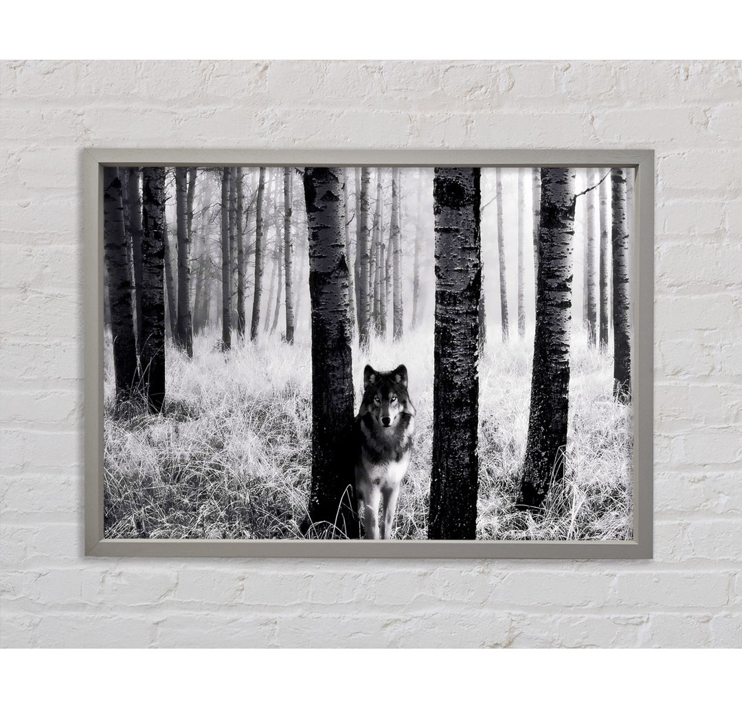 Wolf In The Forest - Einzelbildrahmen Kunstdrucke auf Leinwand