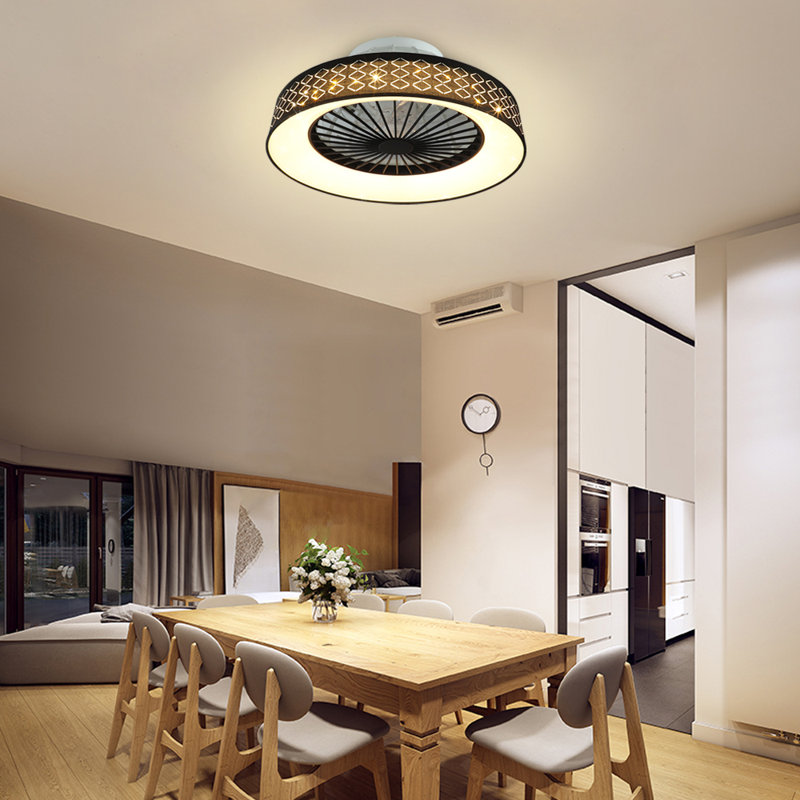 Ridgetop 22.4'' Ceiling Fan with LED Lights, Black