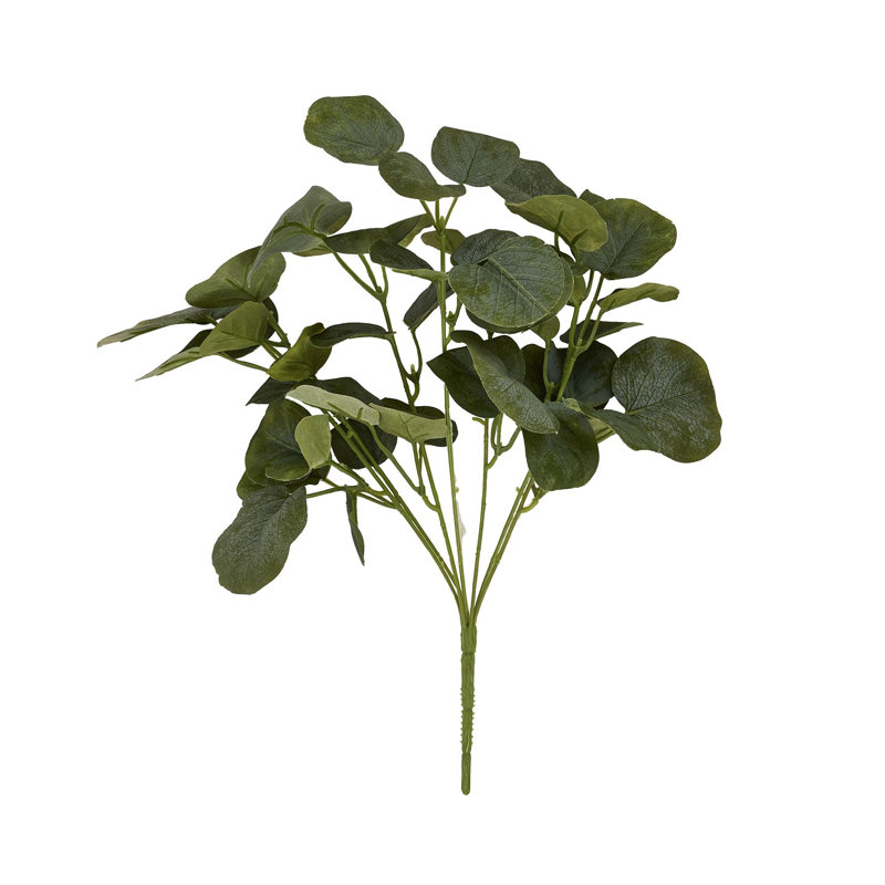 Anastasija Arrangement