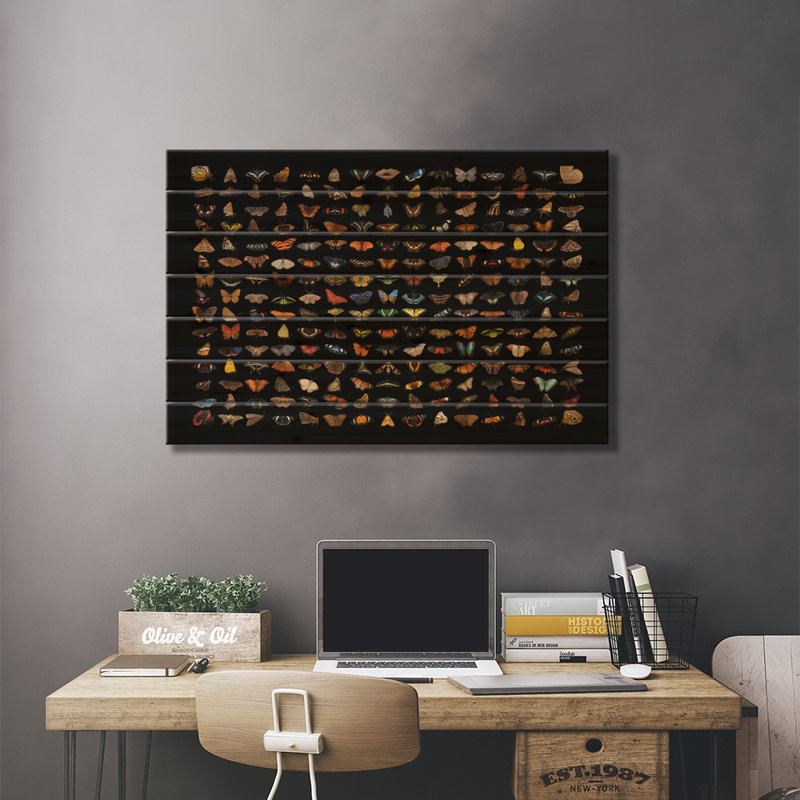 Un composite de 225 espèces de papillons et de papillons de nuit par Joel Sartore, reproduction sur bois sans cadre