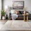 Oriental Area Rug-1628996757