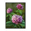Fleurs sauvages mauves II - Peinture-1290547384-1290547392