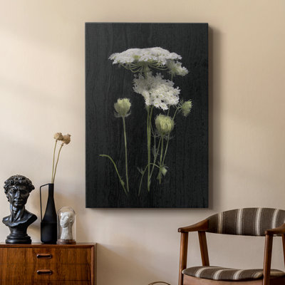 Reines dentelle II - galerie Cavas sur mesure