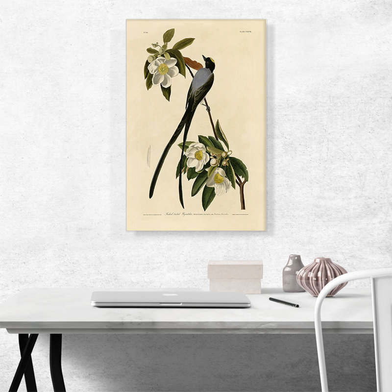 Reproduction d'art sur toile tendue à fourche par James Audubon, H 26 po x l 18 po x 1,5 po