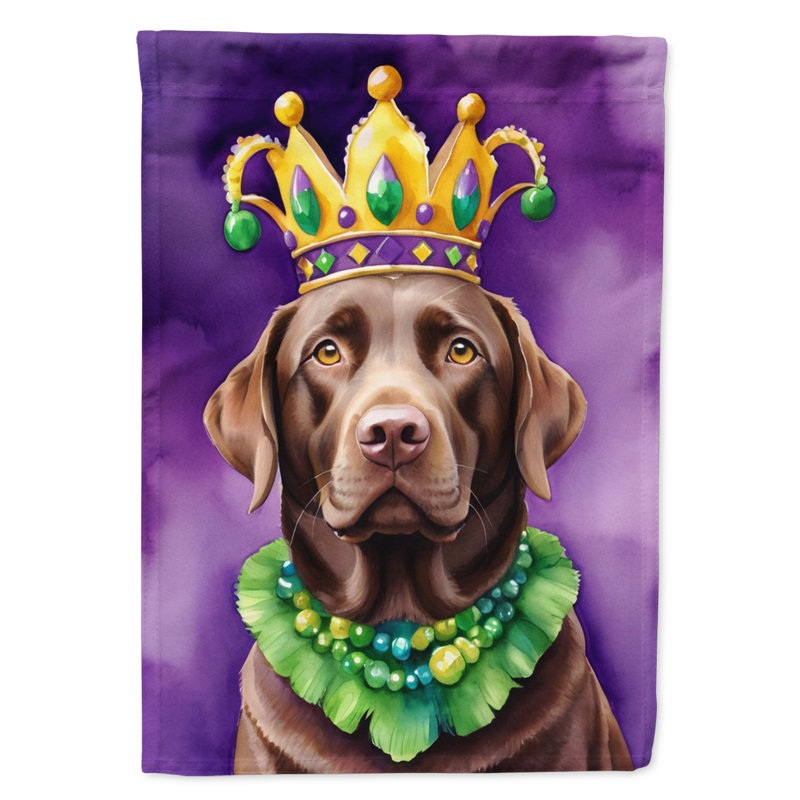 Double Sided 40'' H x 28'' W Polyester Mardi Gras House Flag