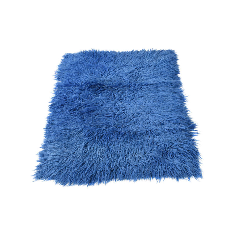 Iraheta Blue Rug