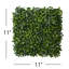 Herbe de buis artificielle-842012934