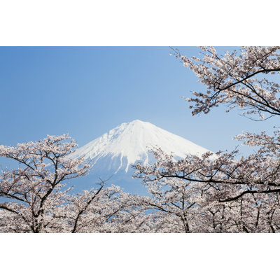 Mt Fuji In Spring by Ooyoo - Print