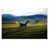 Wrapped Canvas selected