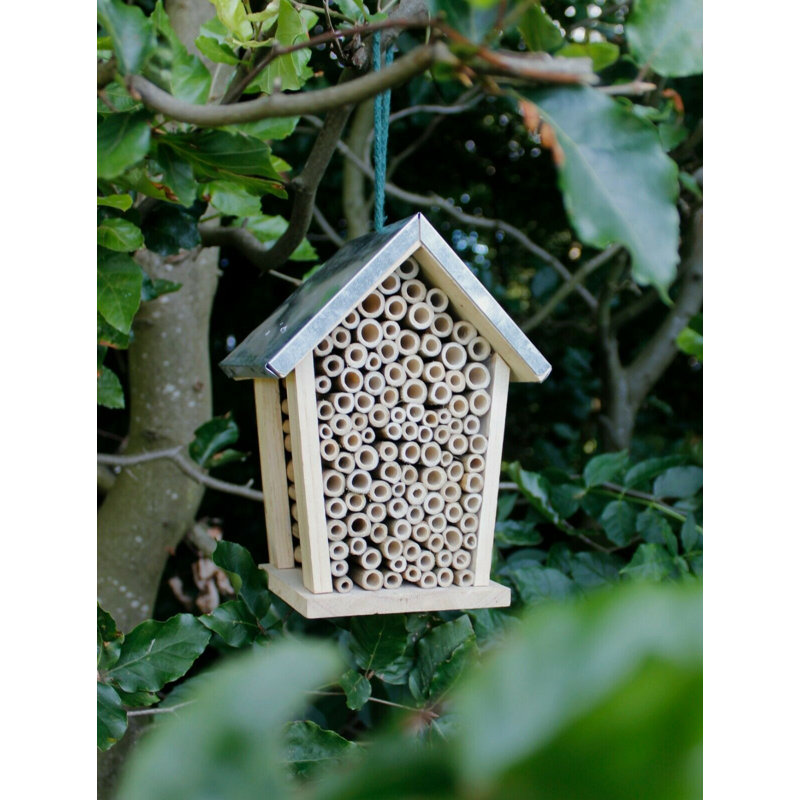 Thorgard Weather Resistant Insect Cage