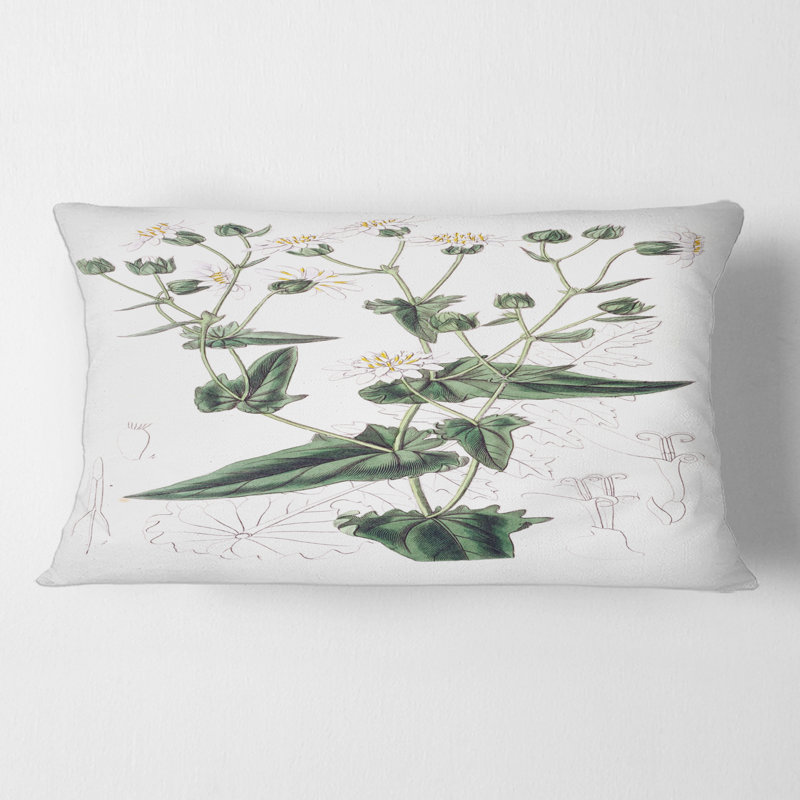 Housse et insert de coussin rectangulaire Plant Life XXII