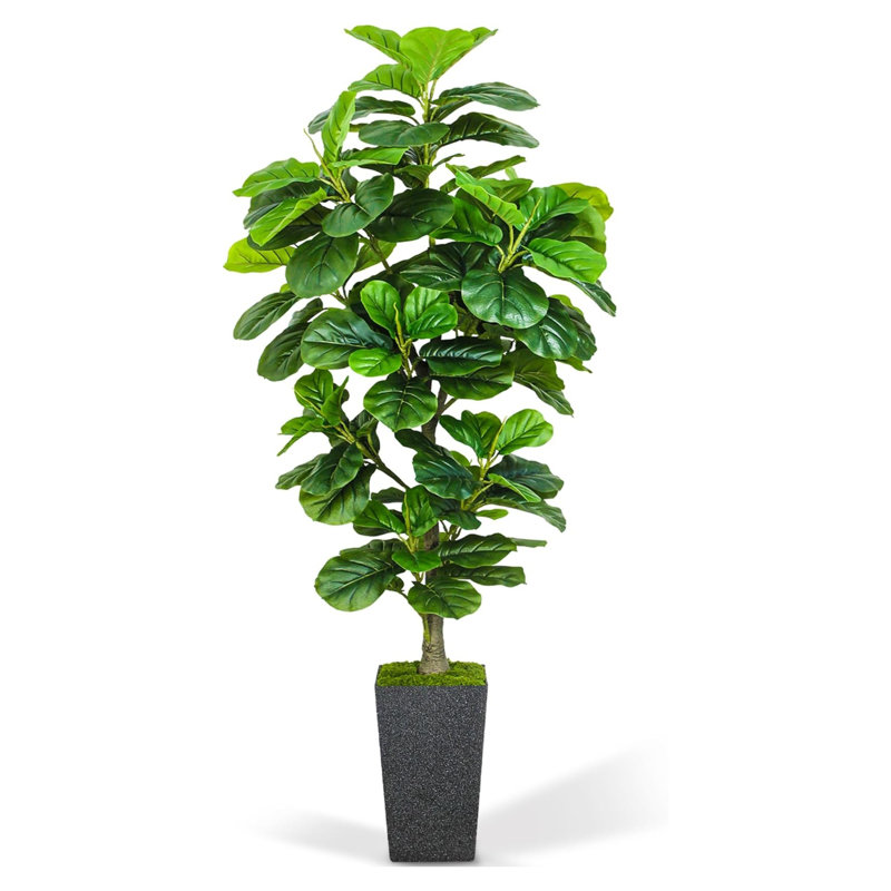 72" Faux Fiddle Leaf Fig Tree In Black Planter, Black
