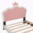 Calvillo Kids-1144232725-1157620381