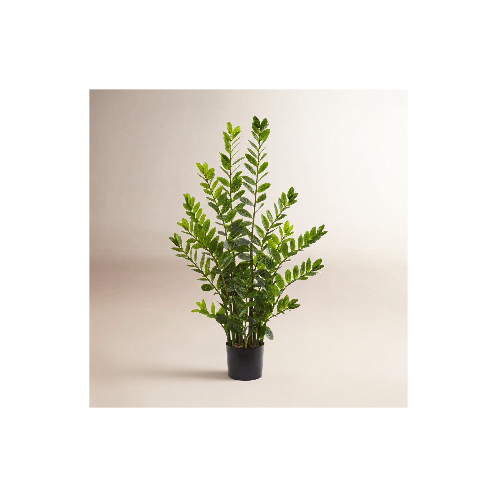 Faux ZZ Plant in Pot, 48" H x 28" W x 14" D
