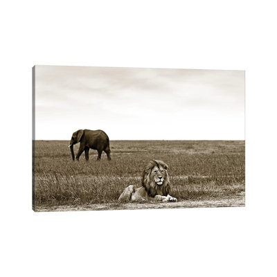 Puzzled Lion by Klaus Tiedge - Wrapped Canvas Print
