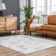 Kaamini Abstract Machine Washable Cream Area Rug