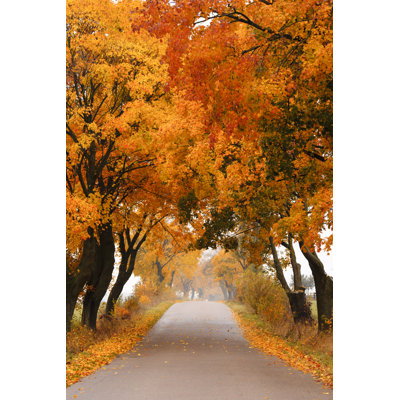 " Autumn Mapleroad " by Pietus