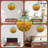Wall clock design