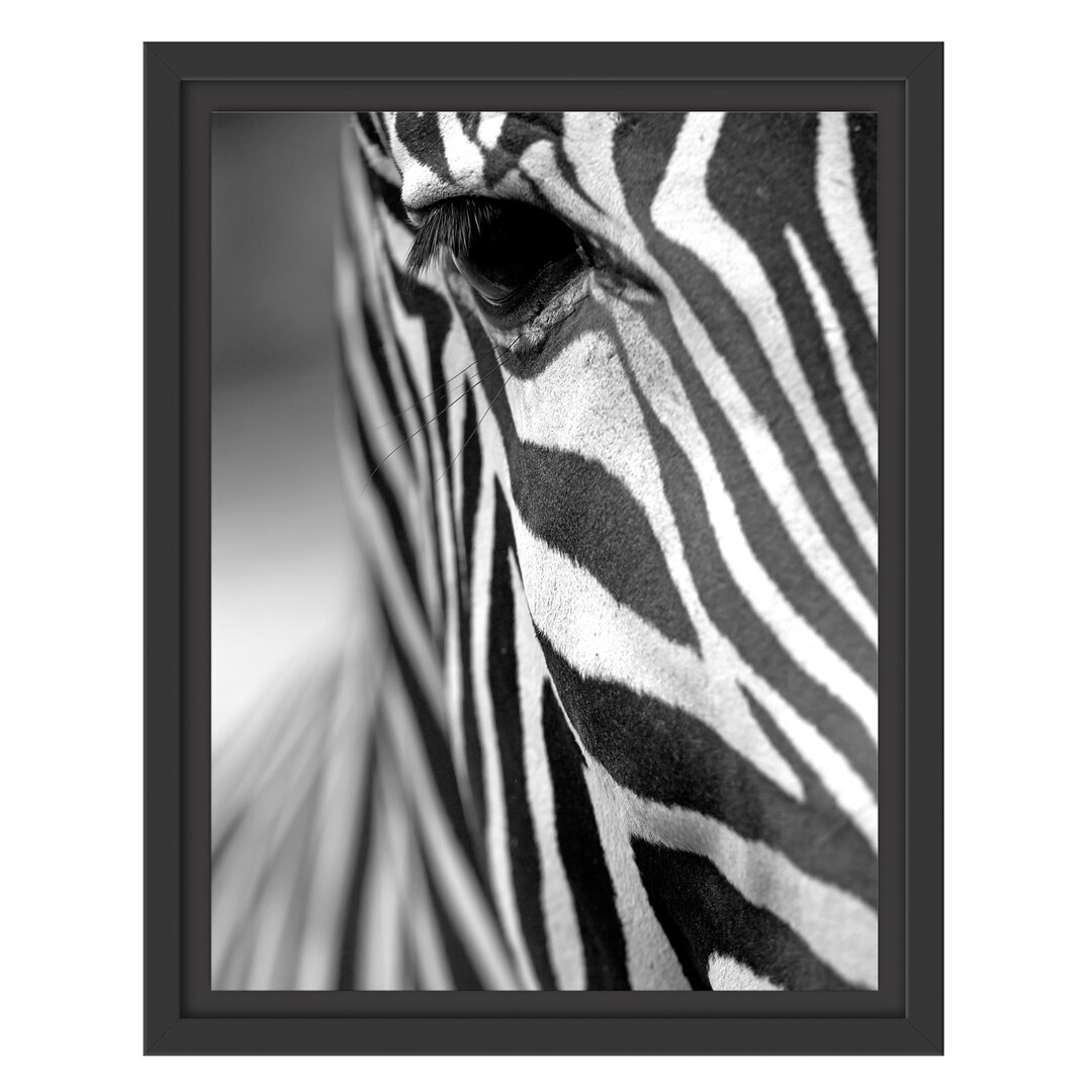 Gerahmtes Poster Zebra Close-up