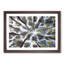 Tree Tops - Picture Frame Painting Print-56733749-56733752