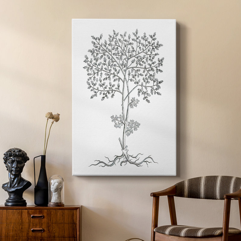 B&W Plant Spechantillon IV - galerie sur mesure Cavas, H 36 po x l 24 po