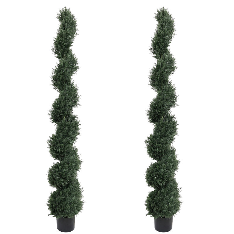 Cèdre vert en pot Primrue, H 70,8 po x l 12 po x P 12 po
