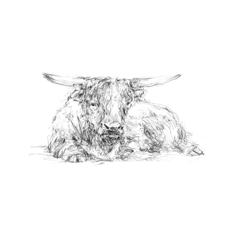 Highland Cattle II by Ethan Harper - Painting, 81cm H x 122cm W, Wrapped Canvas