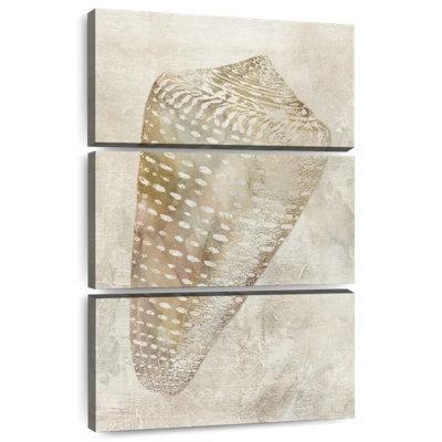 Aletra coquillage illusion II
