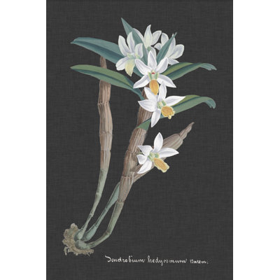 Orchid on Slate I by Vision Studio - Painting