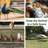 Denard 3.6 ft. H x 157 ft. W Chicken Fencing