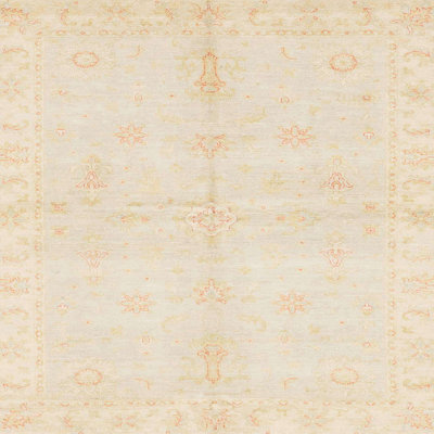 Oriental Indoor Rug