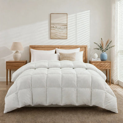 All Season Goose Feather and Down Duvet insert Cotton Shell Comforter