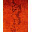Tapis unique noué à la main Fine Vibrance - orange, 6 pi 1 po x 6 pi 5 po