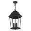 Lanterne suspendue d'extérieur 3 lumières Heaney-1468641370-1468641369