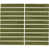 Fern