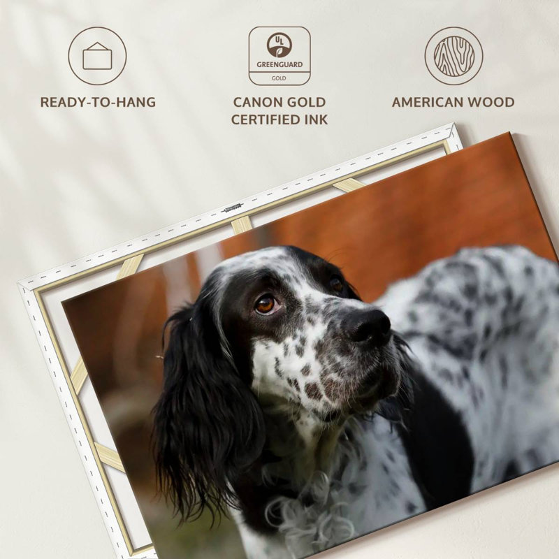 Crowle Spotted English Setter, 8" H x 12" W