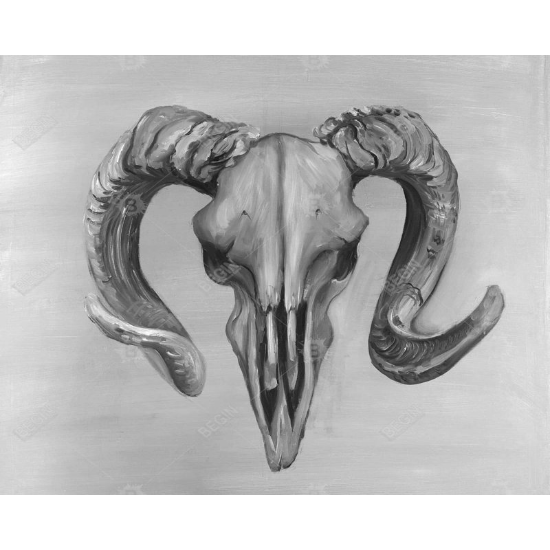 Grayscale Aries Skull Print On Canvas