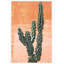 Orange Cacti 2 Print by Nathan Turner